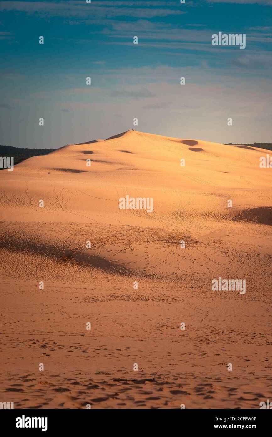 La grande Duna di Pilat, la più alta duna d'Europa ad Arcachon, Aquitania, Francia. Foto Stock