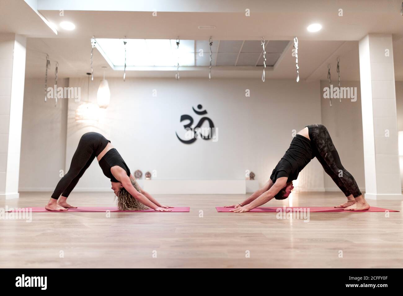 Adatta a piedi nudi Donna e uomo in abbigliamento sportivo concentrandosi e facendo attività di cane rivolto verso il basso su tappetini sportivi su pavimento in legno contro pareti bianche di spazioso studio Foto Stock