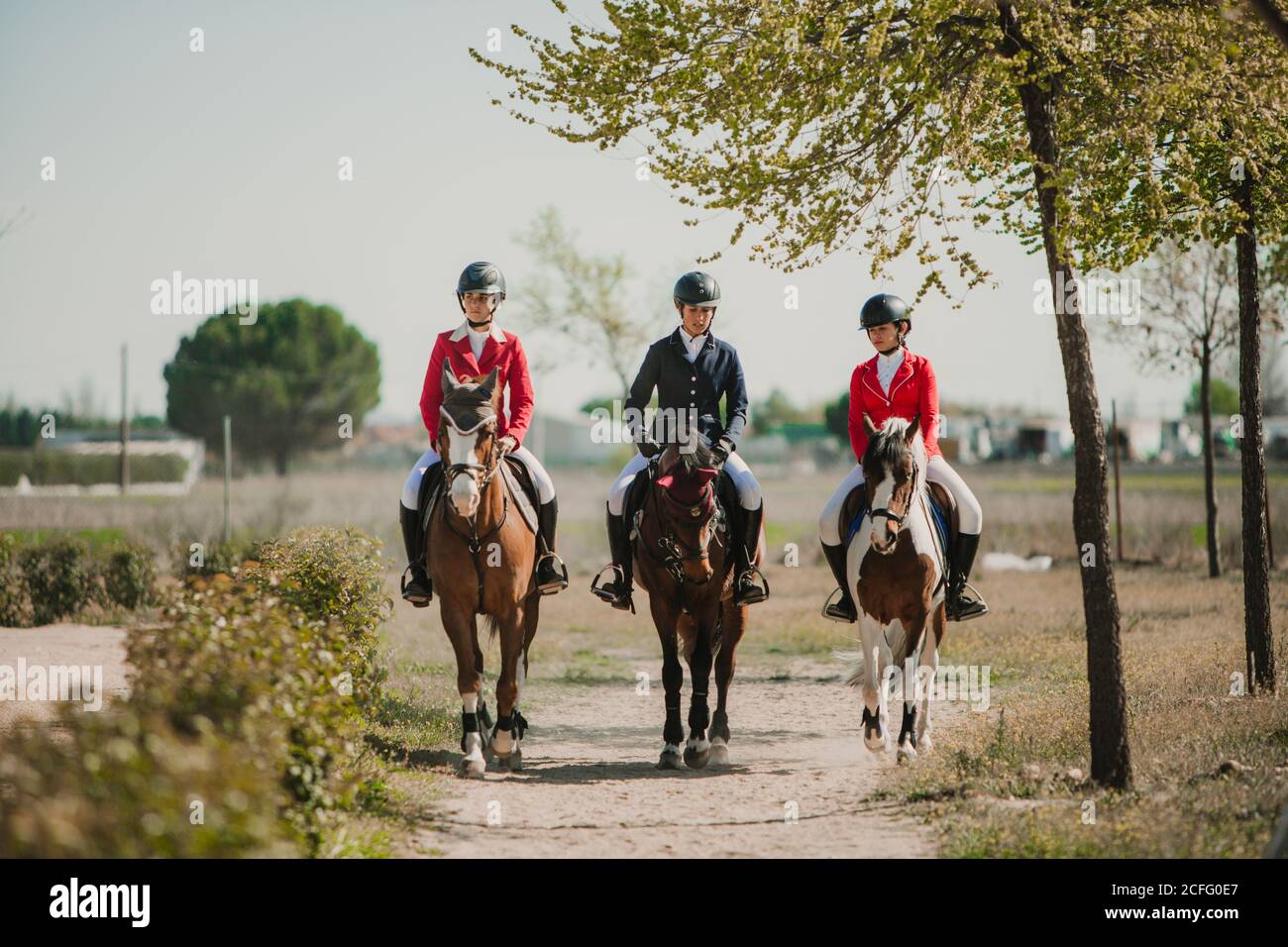 Fila delle donne teen che cavalcano i cavalli in fila che passeggiano giù strada alla luce del sole Foto Stock
