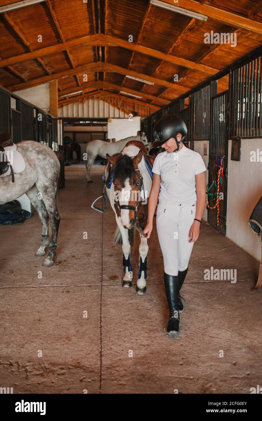 Giovane donna adolescente in vestito bianco e casco da jockey che conduce cavallo fuori dalla stalla per andare a cavallo all'aperto Foto Stock