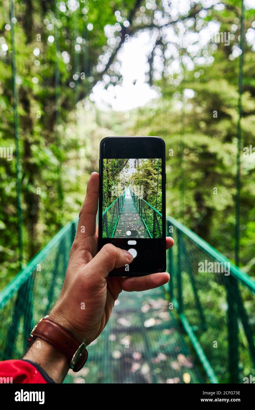 viaggiatore irriconoscibile che usa lo smartphone per scattare foto del passaggio del ponte Attraverso la giungla verde durante il viaggio in Costa Rica Foto Stock