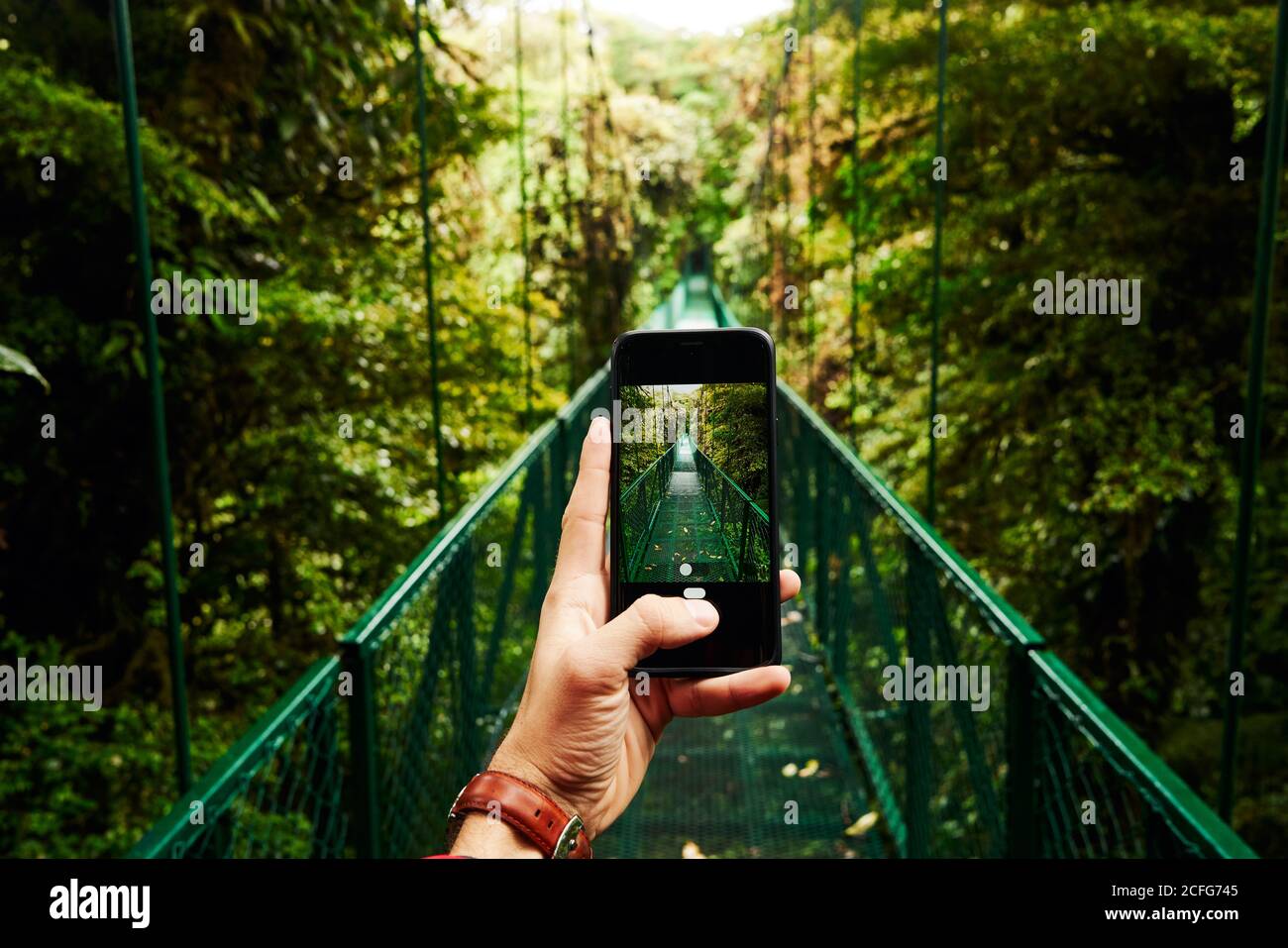 viaggiatore irriconoscibile che usa lo smartphone per scattare foto del passaggio del ponte Attraverso la giungla verde durante il viaggio in Costa Rica Foto Stock