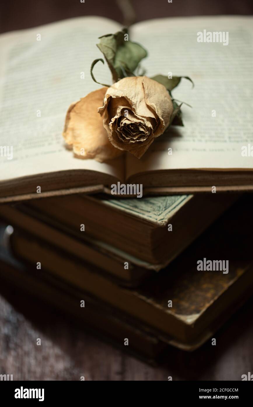 Mucchio di libri e fiori secchi su tavola di legno Foto Stock