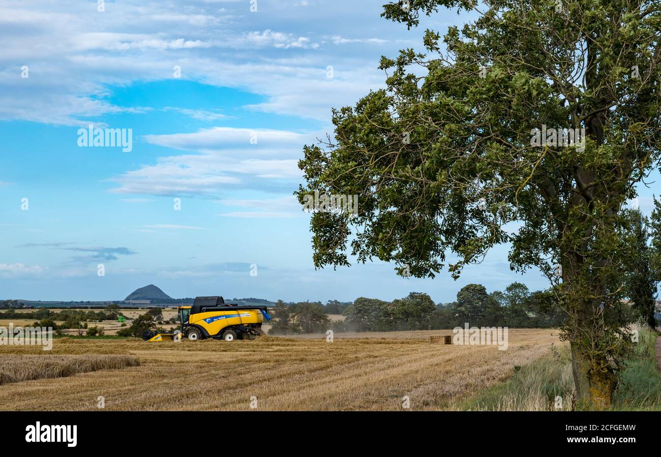 East Lothian, Scozia, Regno Unito, 5 settembre 2020. UK tempo: Raccolto finale di grano. L'ultimo dei campi di raccolto di cereali sono raccolti in questa parte della contea. Una vista della legge di Berwick in lontananza con una mietitrebbia New Holland Foto Stock