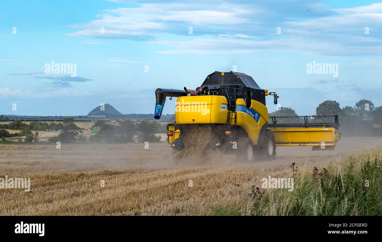 East Lothian, Scozia, Regno Unito, 5 settembre 2020. UK tempo: Raccolto finale di grano. L'ultimo dei campi di raccolto di cereali sono raccolti in questa parte della contea. Una vista della legge di Berwick in lontananza con una mietitrebbia New Holland Foto Stock