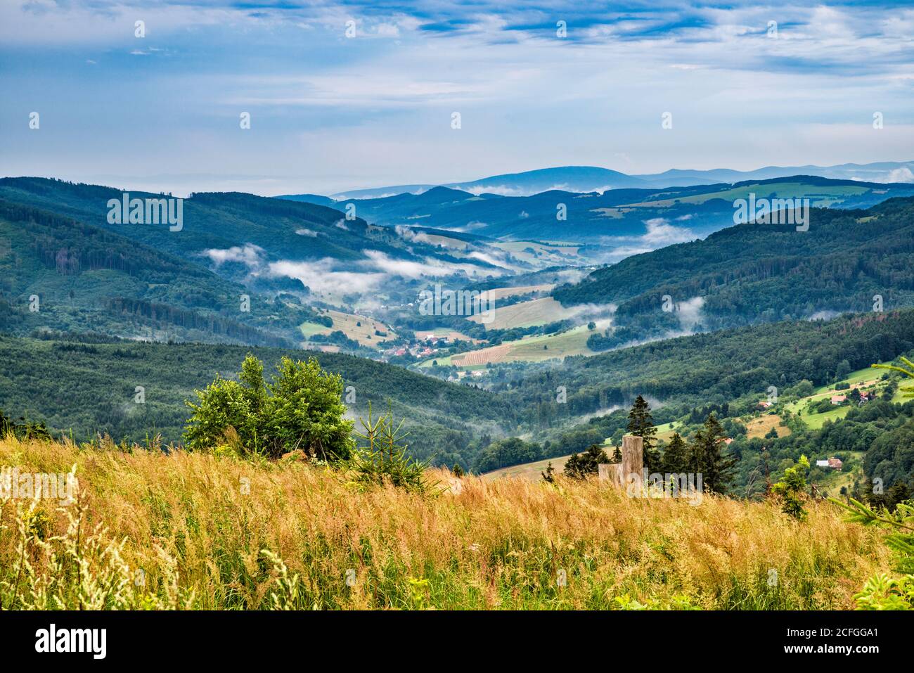 Pozze di nebbia mattutina, colline a White Carpazi, vista dalla strada vicino al villaggio di Vyskovec, Zlin Regione, Slovacko (Moravian Slovacchia), Repubblica Ceca Foto Stock