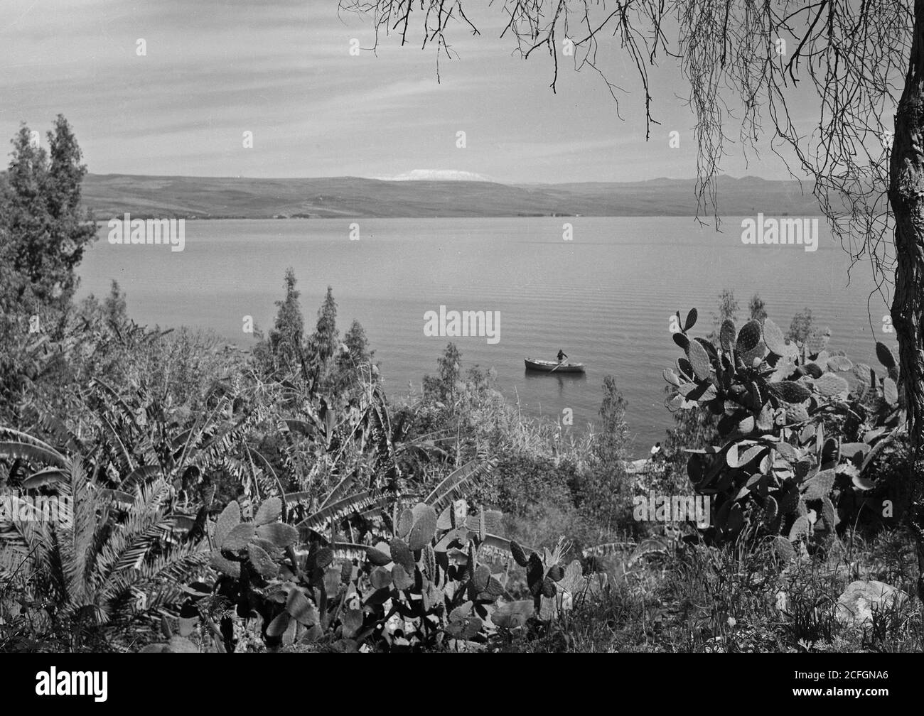 Storia del Medio Oriente - vedute pittoresche del Monte Hermon e il lago. Mare di Galilea e Monte Cactus di Hermon e banane in uscita[ound] Foto Stock