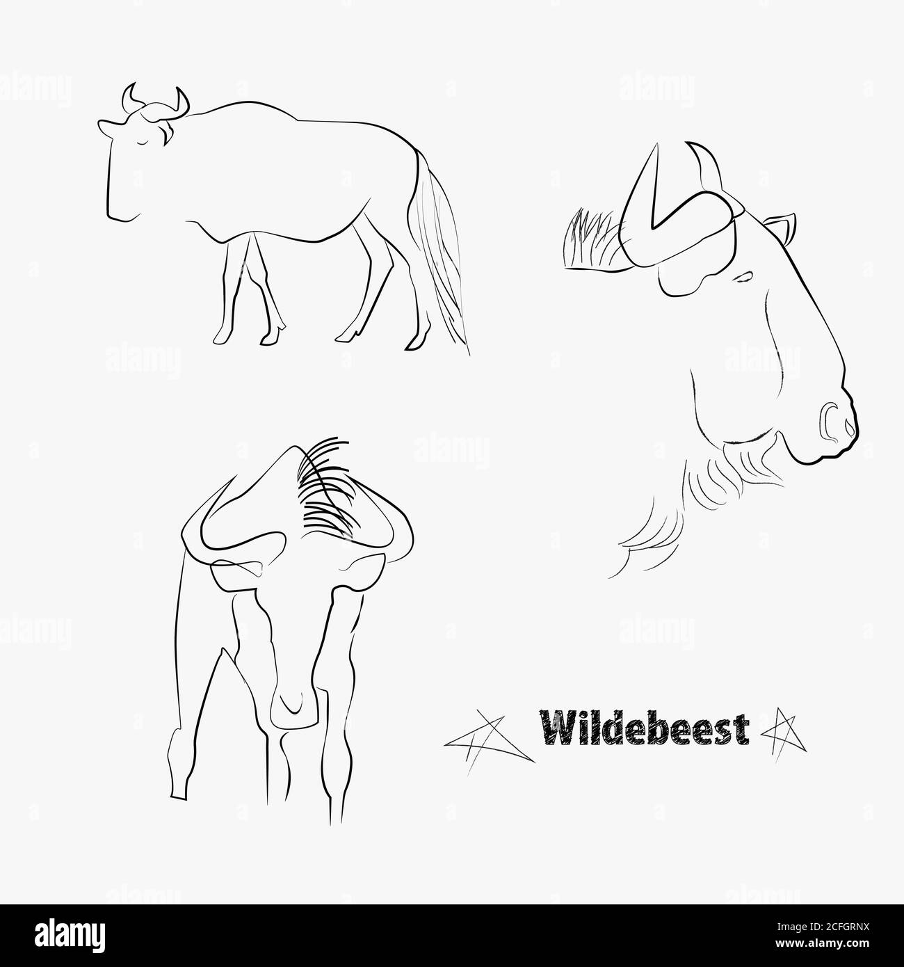 Wildebeest disegnato con linee a mano. Linee di disegno Illustrazione Vettoriale