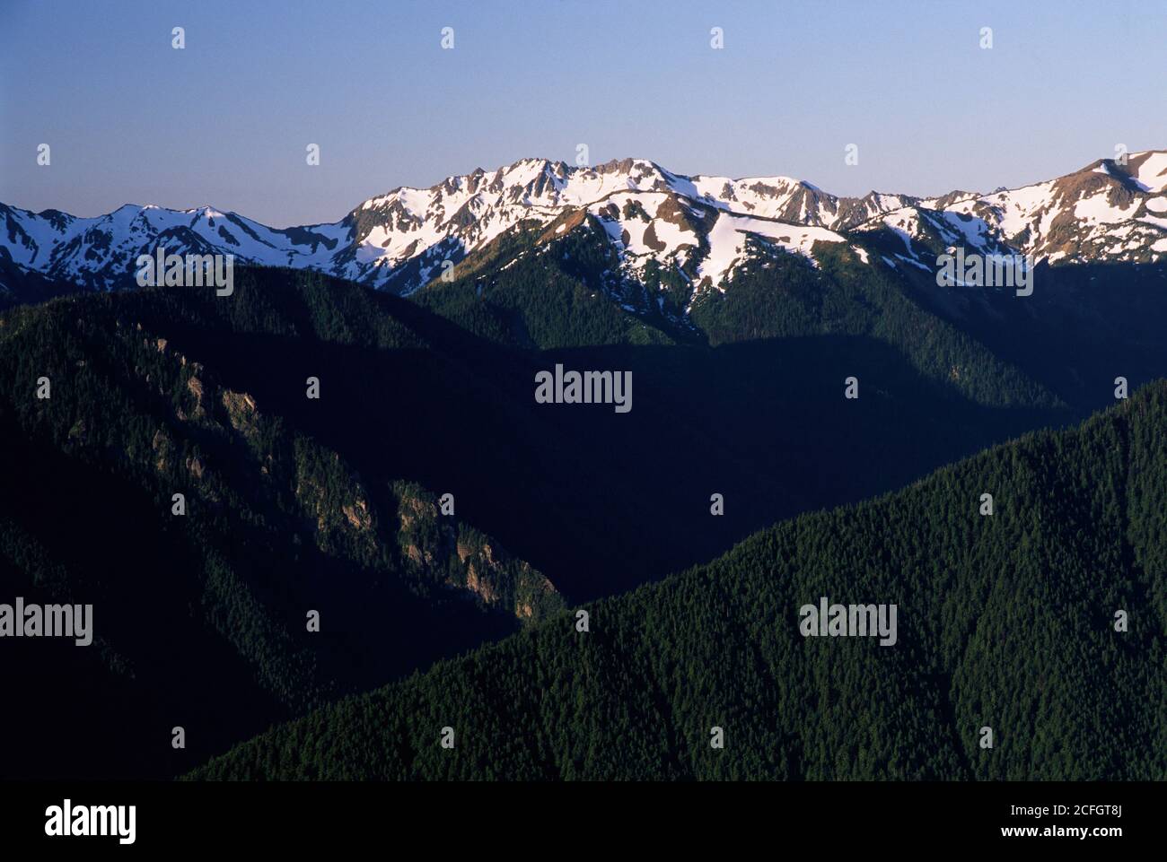 Montagne Olimpiche da Blue Mountain, il Parco Nazionale di Olympic, Washington Foto Stock