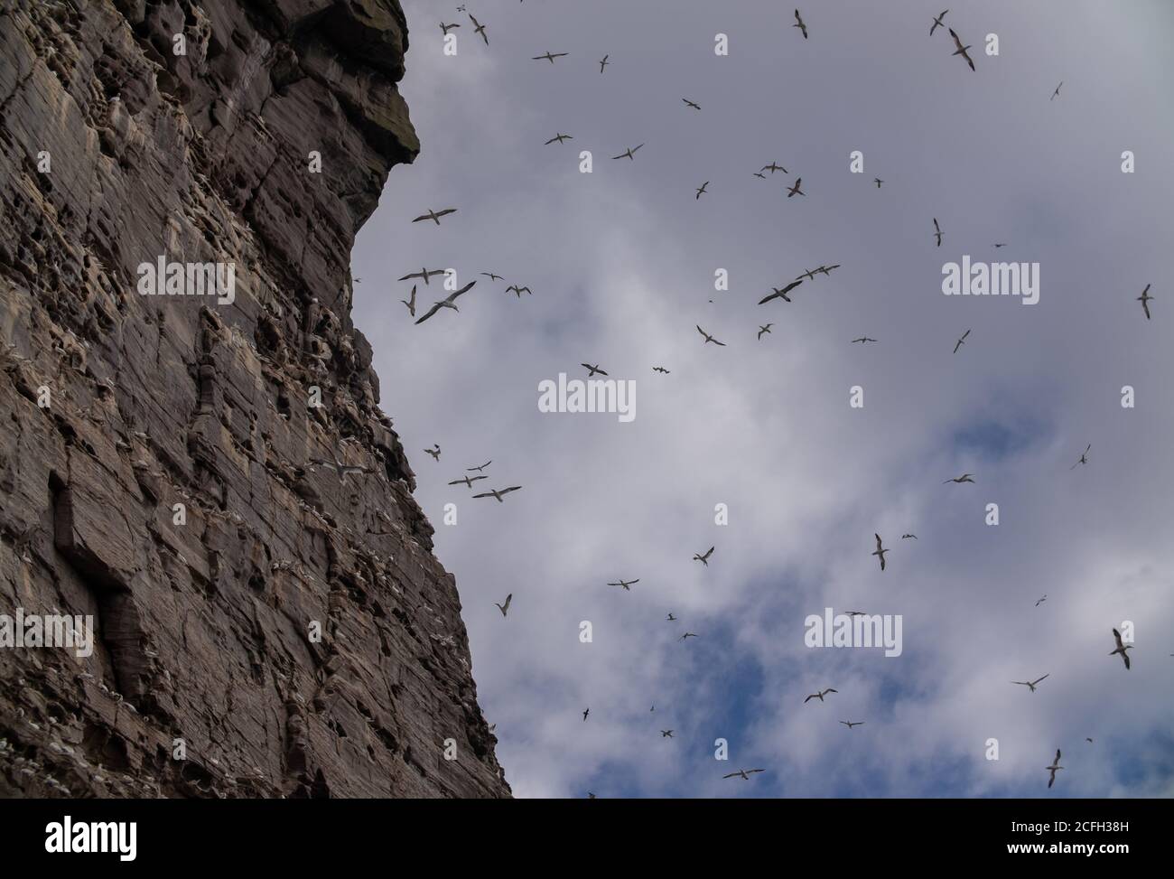 Le Isole Shetland Foto Stock