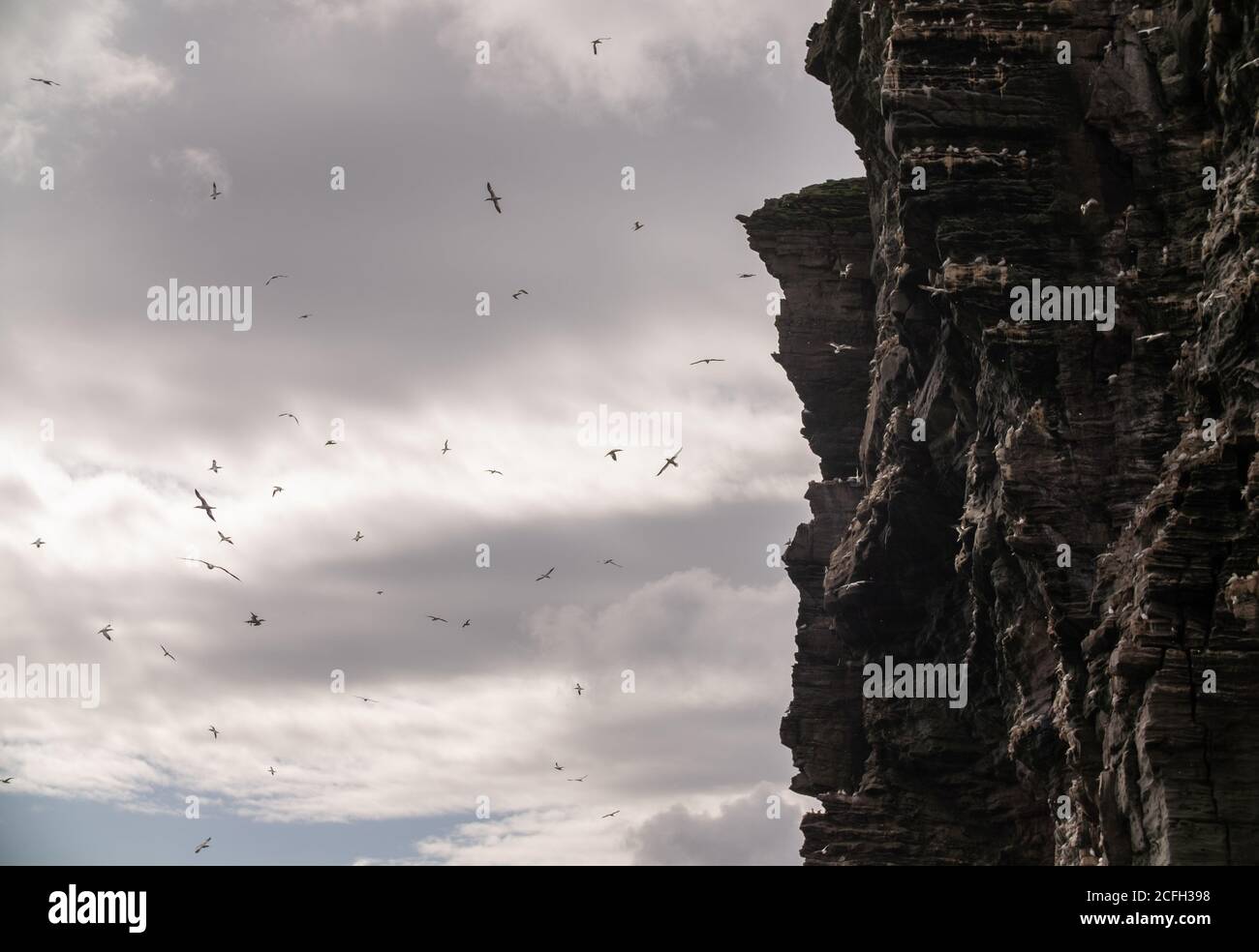 Le Isole Shetland Foto Stock