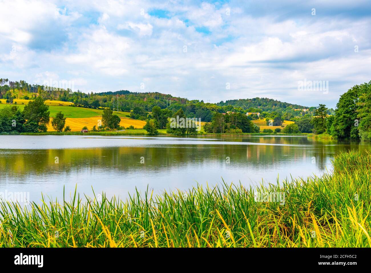 Stagno rurale nel mddle di paesaggio verde. Boemia meridionale. Foto Stock