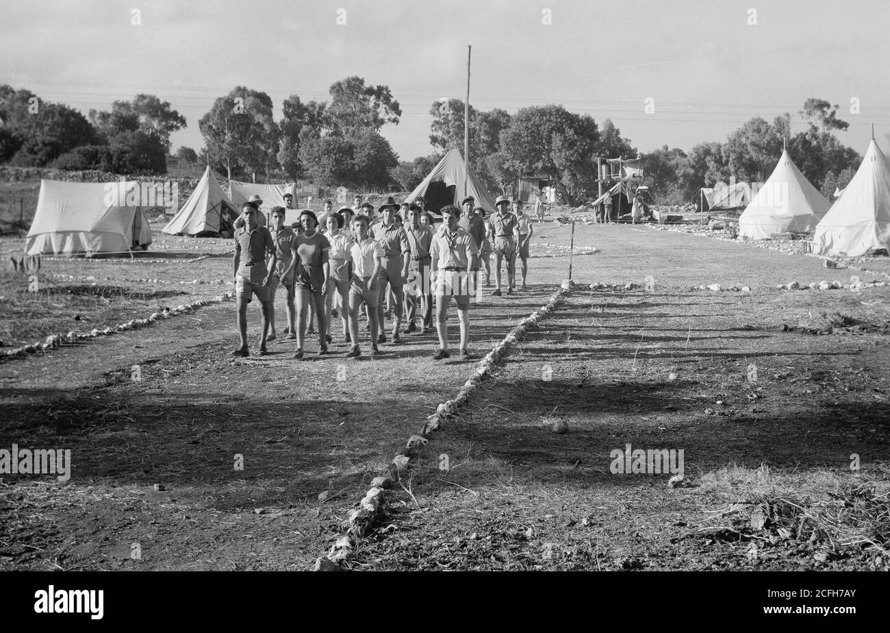 Storia del Medio Oriente - la stagione vintage Zikh'ron Ya'aqov Luglio 24 1939. I campeggiatori si dirigono fuori dal campo verso i vigneti Foto Stock