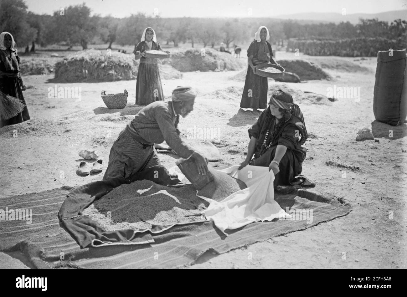 Didascalia originale: Serie Ruth. Beit Sahur e Betlemme. Raccolta ecc - Ubicazione: Cisgiordania--Betlemme ca. 1898-1946 Foto Stock