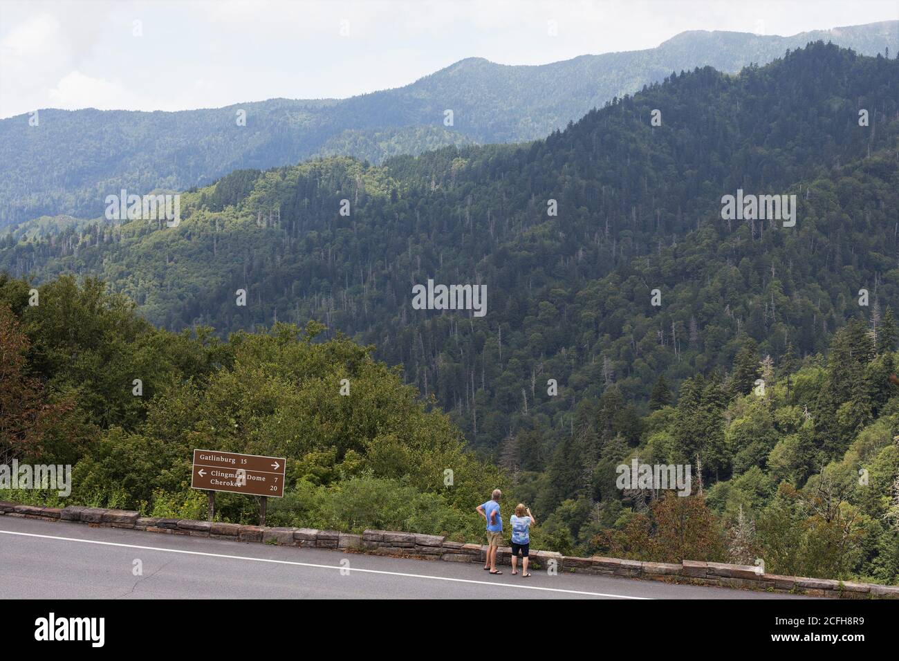 Una coppia accanto alla strada scattando una foto delle montagne al Great Smoky Mountains National Park negli Stati Uniti. Foto Stock