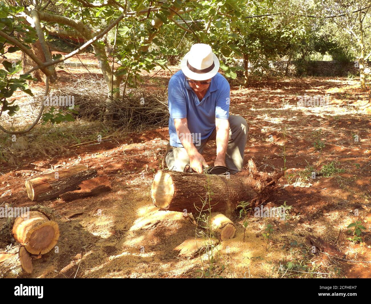 uomo anziano tagliando legno con una motosega in campagna con cappello e camicia a righe Foto Stock