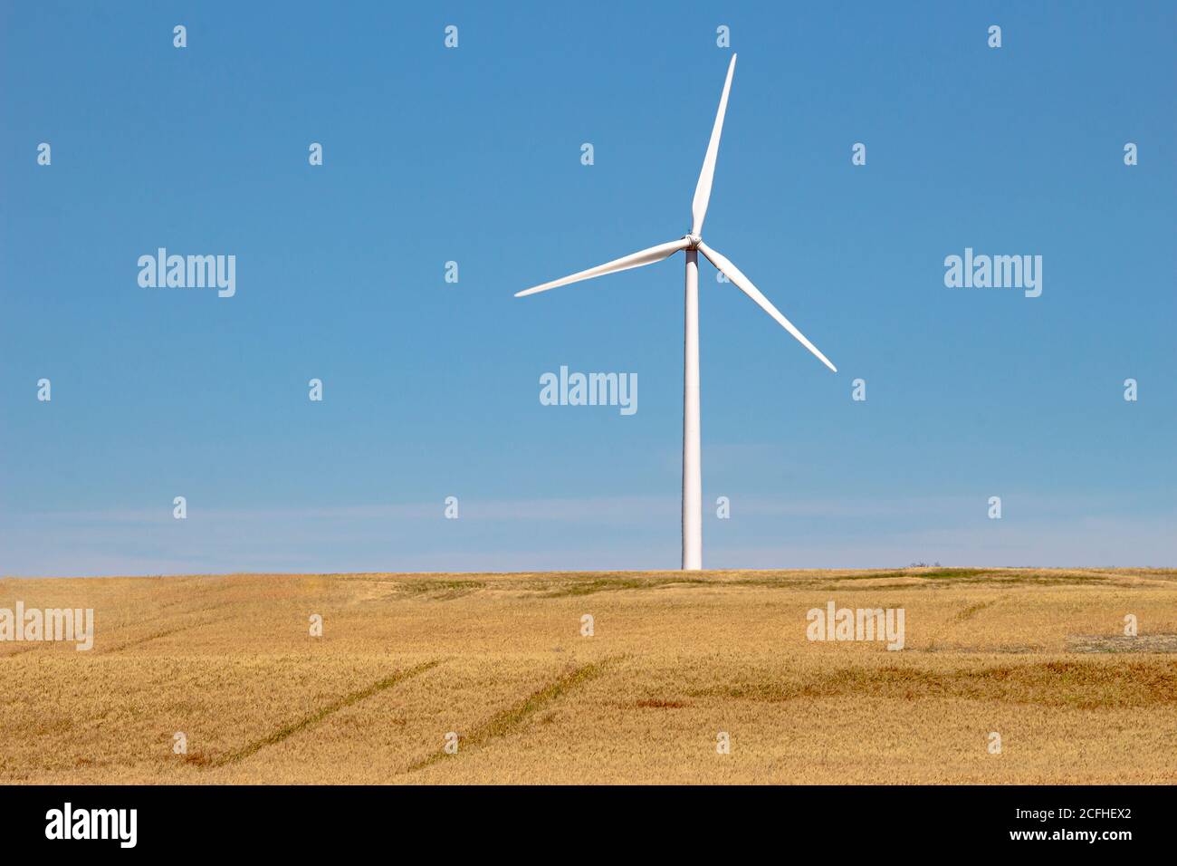 Un gereratore di energia elettrica a turbina eolica, fonte di energia rinnovabile in un campo agricolo. Foto Stock