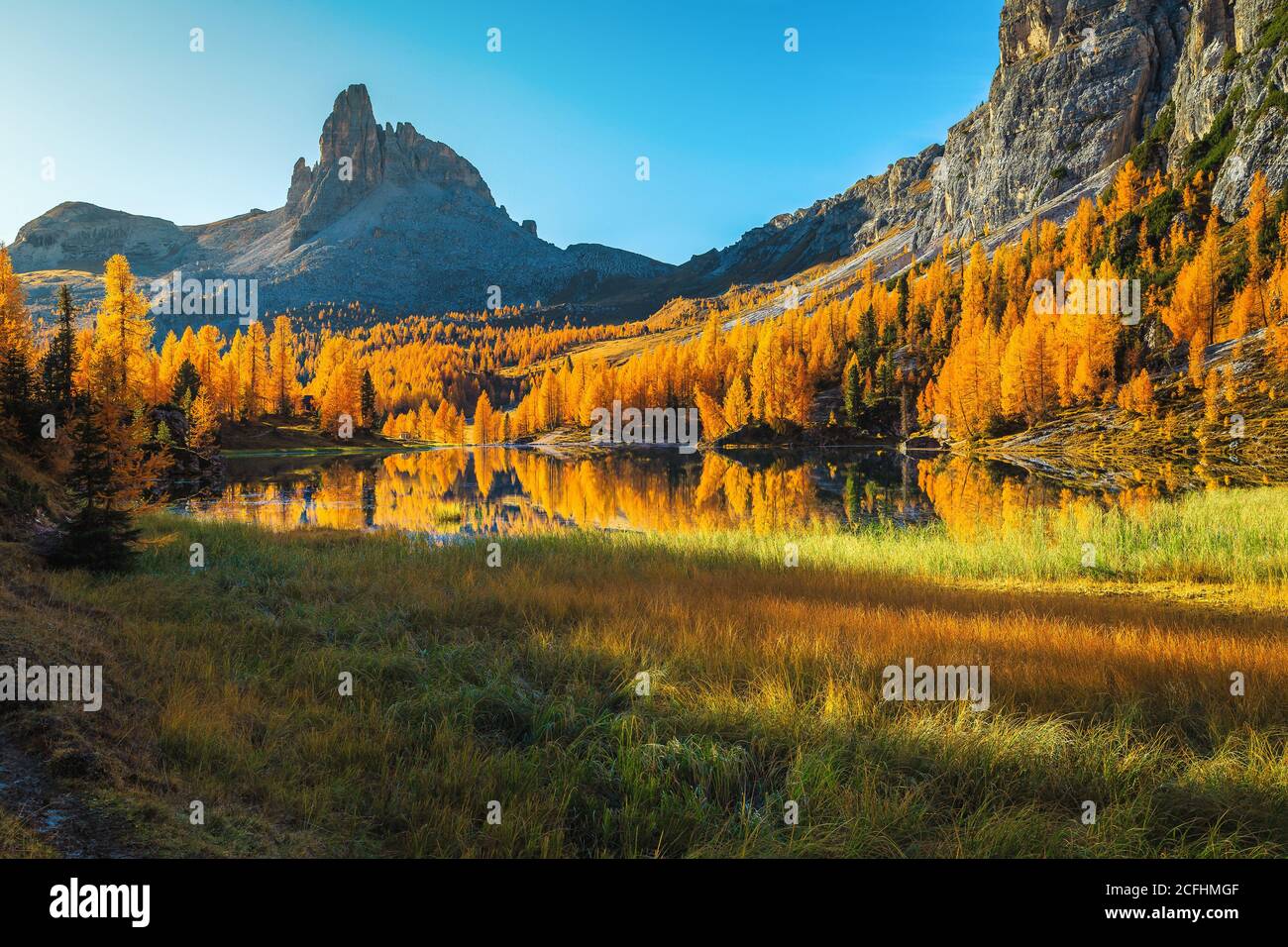 Maestoso scenario autunnale con colorata foresta di sequoie e famoso lago Federa nelle Dolomiti, Italia, Europa Foto Stock