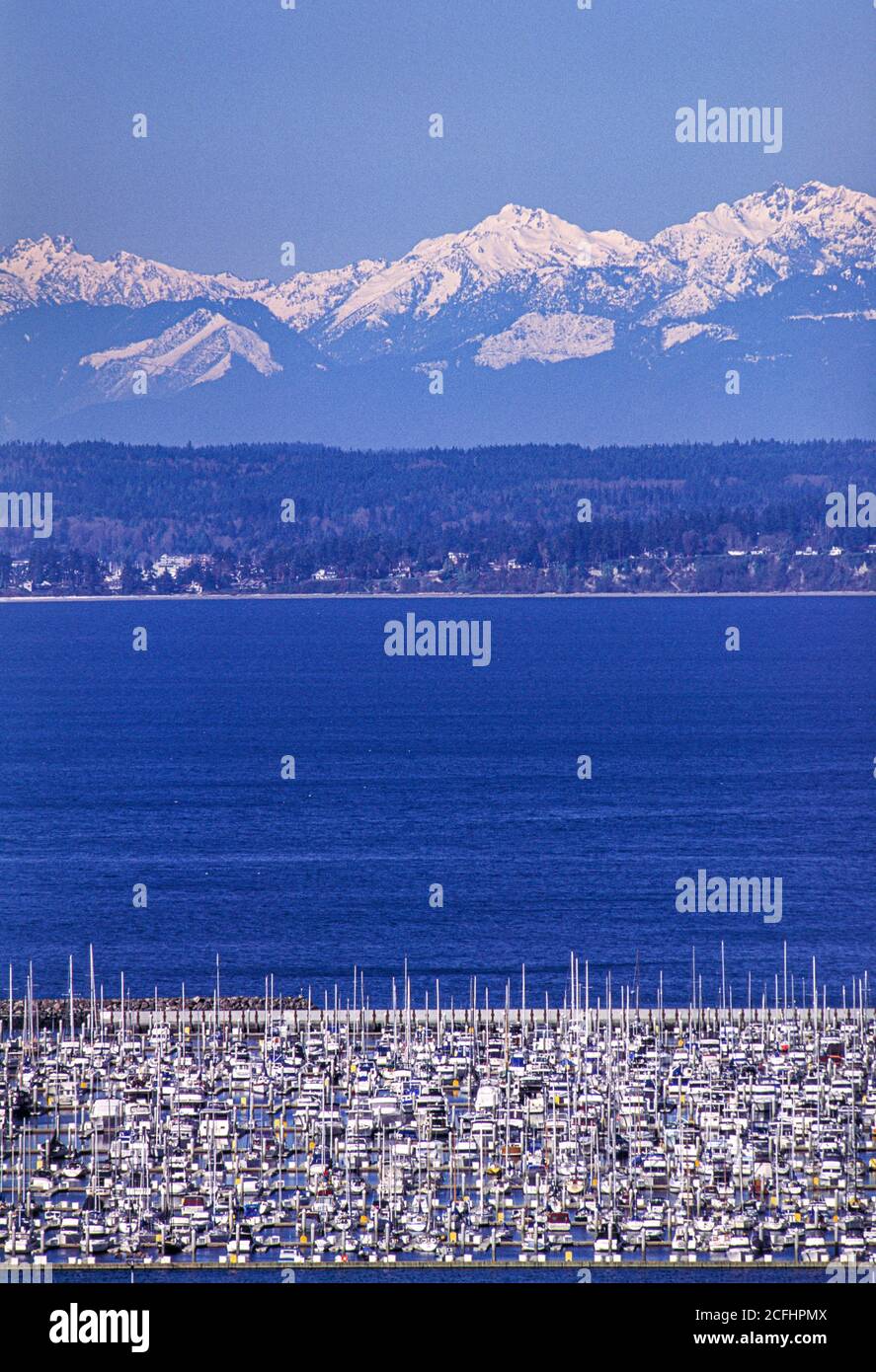 Elliott Bay Marina, Seattle, Washington, USA Olympic Mountains in background Foto Stock