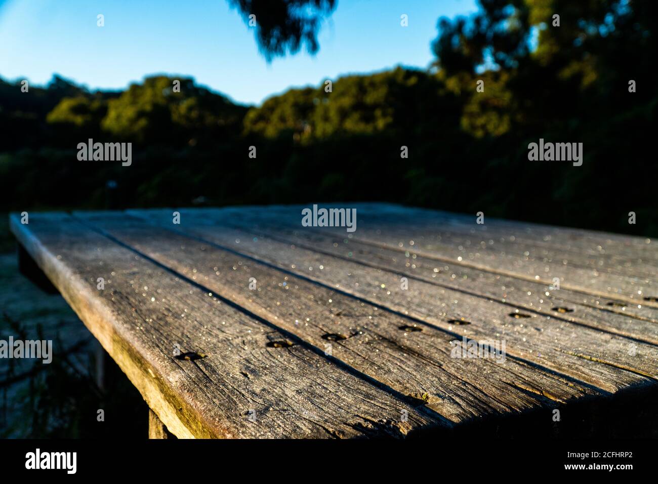 Base di legno surgelata al mattino Foto Stock