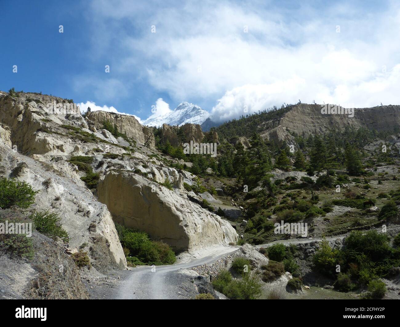 Meraviglioso paesaggio himalayano di Mustang, Nepal. Maestose montagne innevate dell'Himalaya in Tibet. Rocce bianche. Conifere Evergreen. Fantastico supporto Nilgiri. Foto Stock