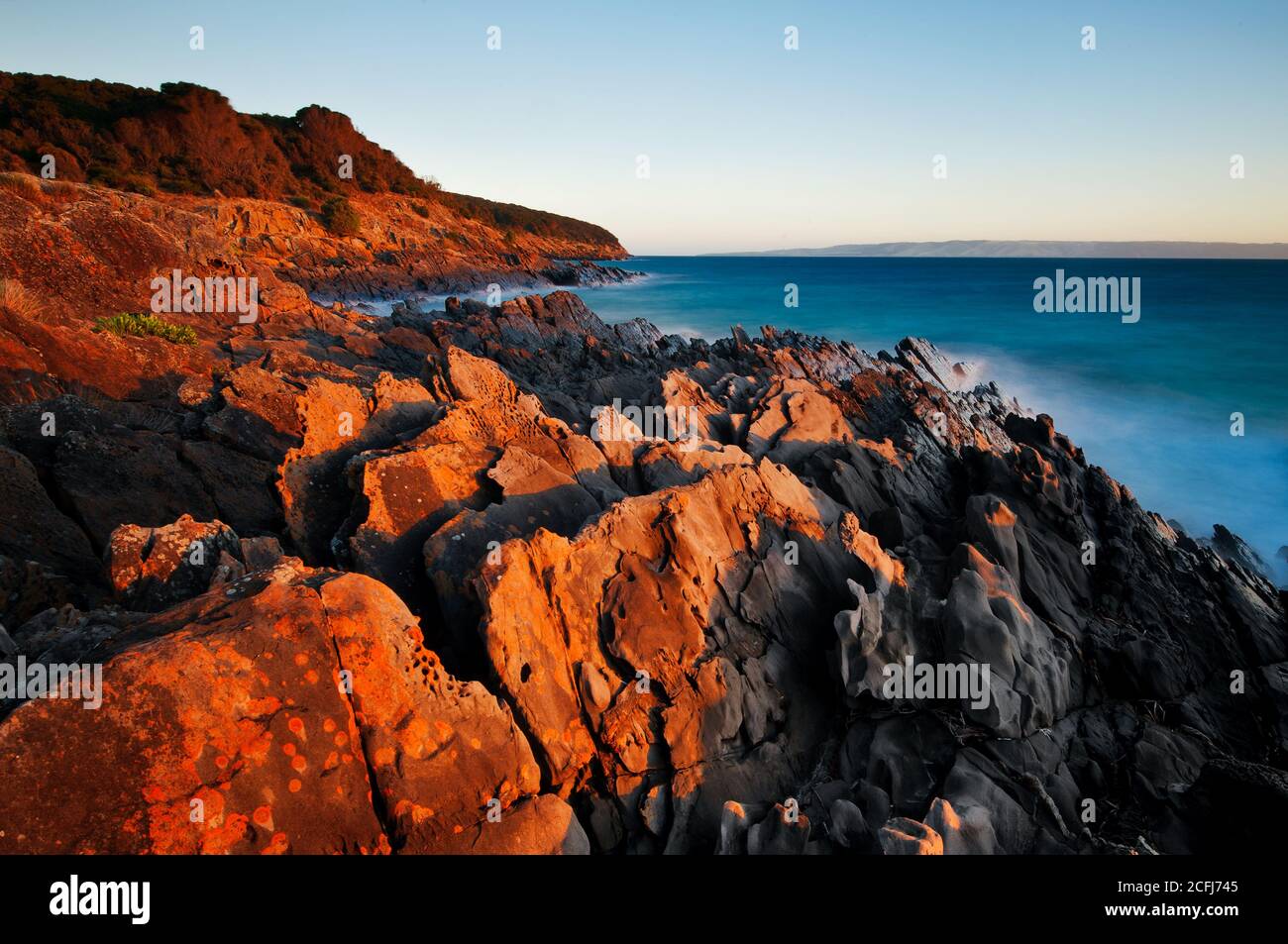 Costa frastagliata a Antechamber Bay sull'Isola dei Canguri. Foto Stock