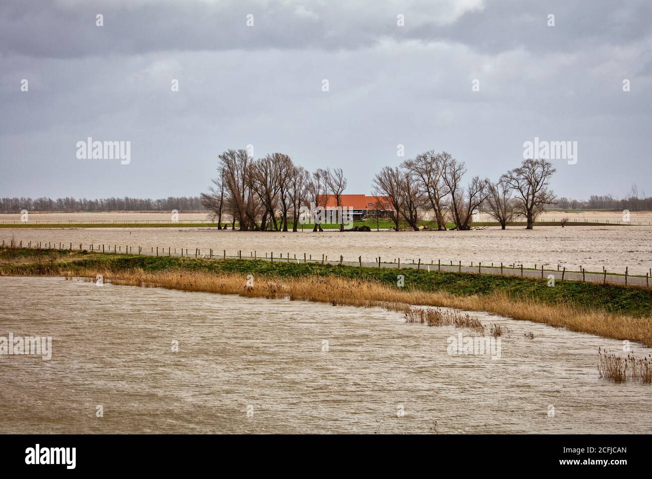 Paesi Bassi, Werkendam, Parco Nazionale De Biesbosch. Alluvione intenzionale del polder Noordwaard. Sala per il progetto River. Fattoria isolata. Foto Stock
