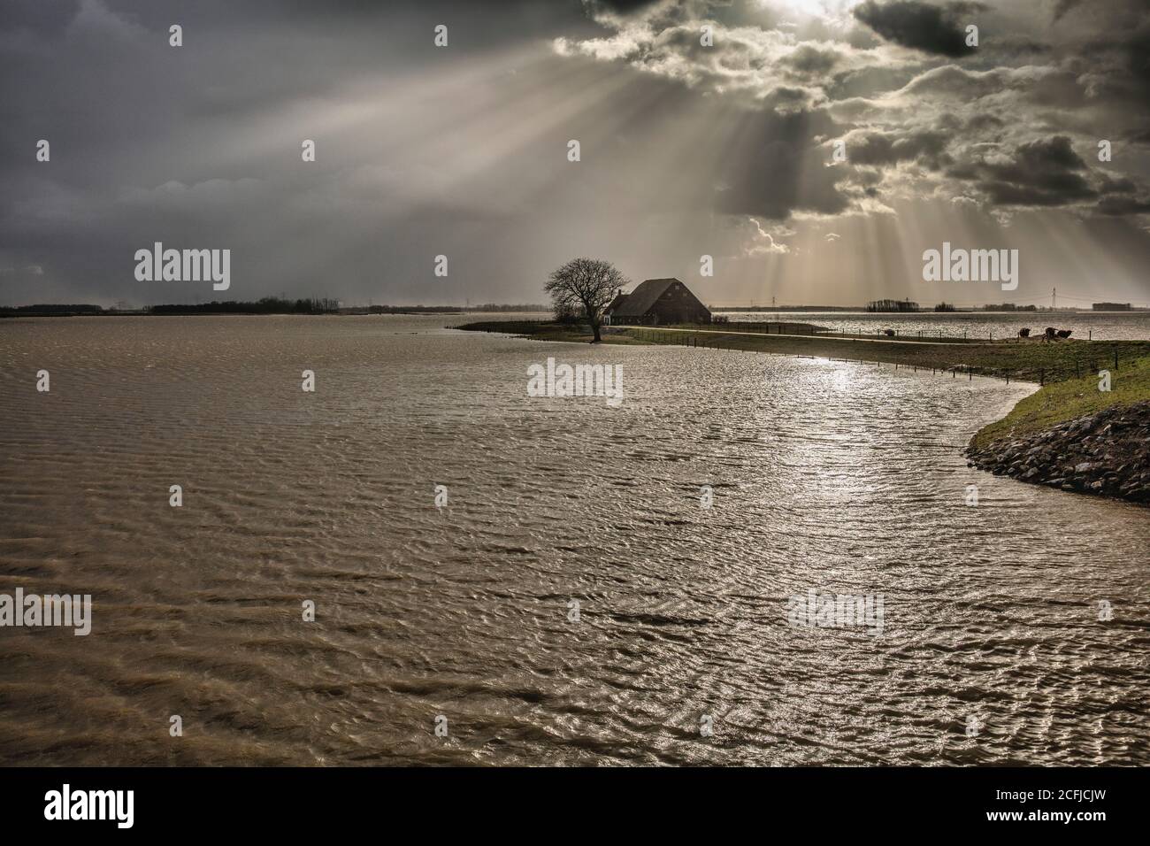 Paesi Bassi, Werkendam, Parco Nazionale De Biesbosch. Alluvione intenzionale del polder Noordwaard. Sala per il progetto River. Fattoria isolata. Foto Stock