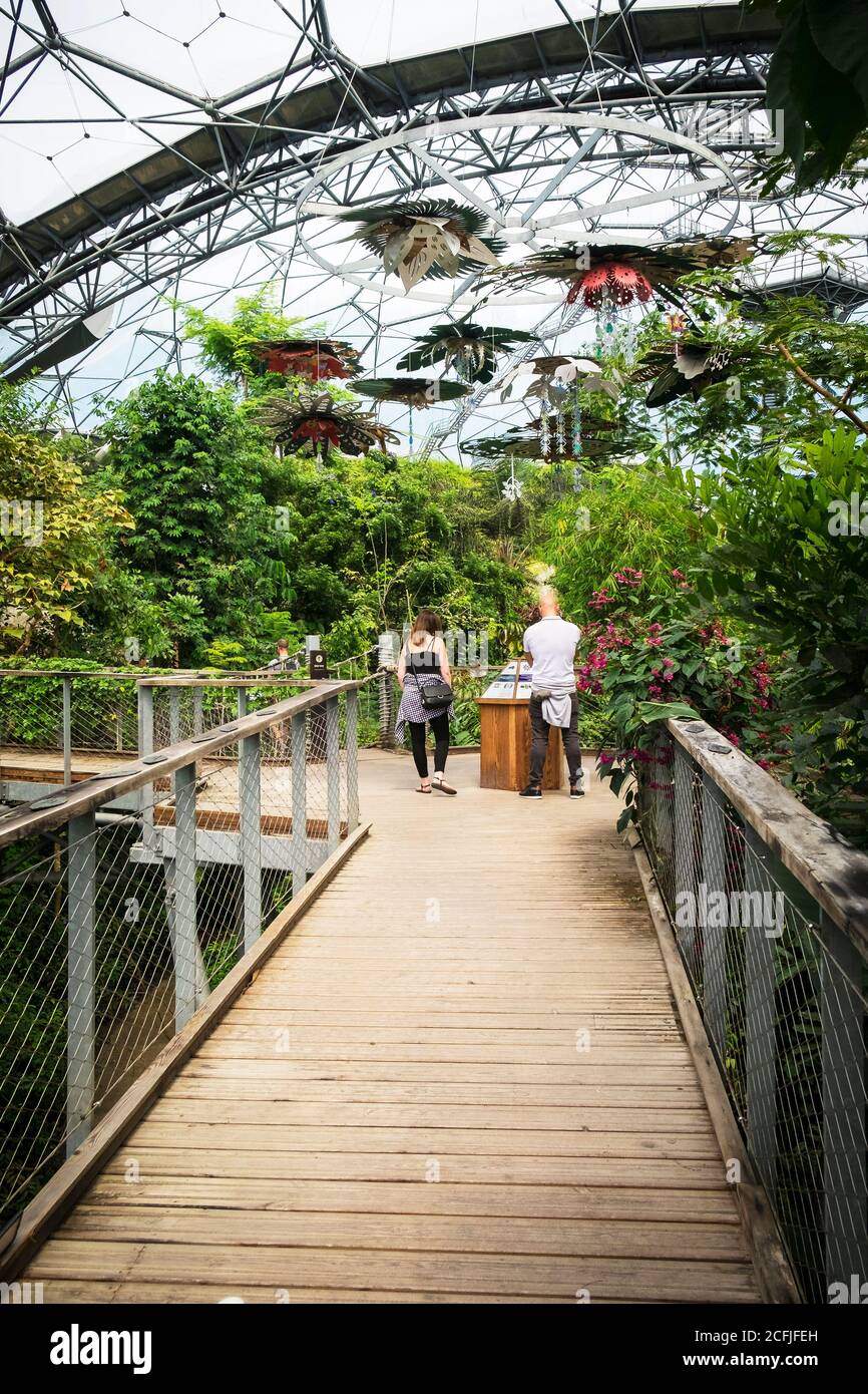 Visitatori all'interno della foresta pluviale Biome al complesso di progetto Eden in Cornovaglia. Foto Stock