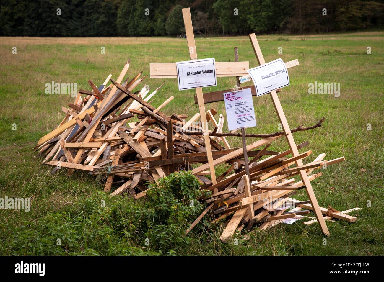 Persone sconosciute avevano eretto croci sul Gleueler Wiese in la foresta cittadina in protesta contro l'espansione del area di allenamento della clu calcistica Foto Stock