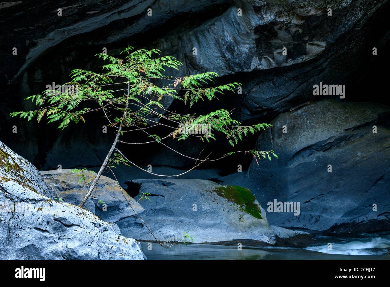 Primo piano del parcheggio Little Huson Caves di giorno a Vancouver, Canada Foto Stock