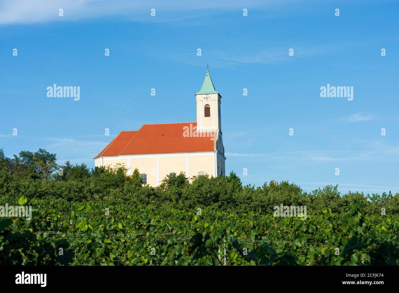 Jois: chiesa, vigneto a Neusiedler See (Lago Neusiedl), Burgenland, Austria Foto Stock