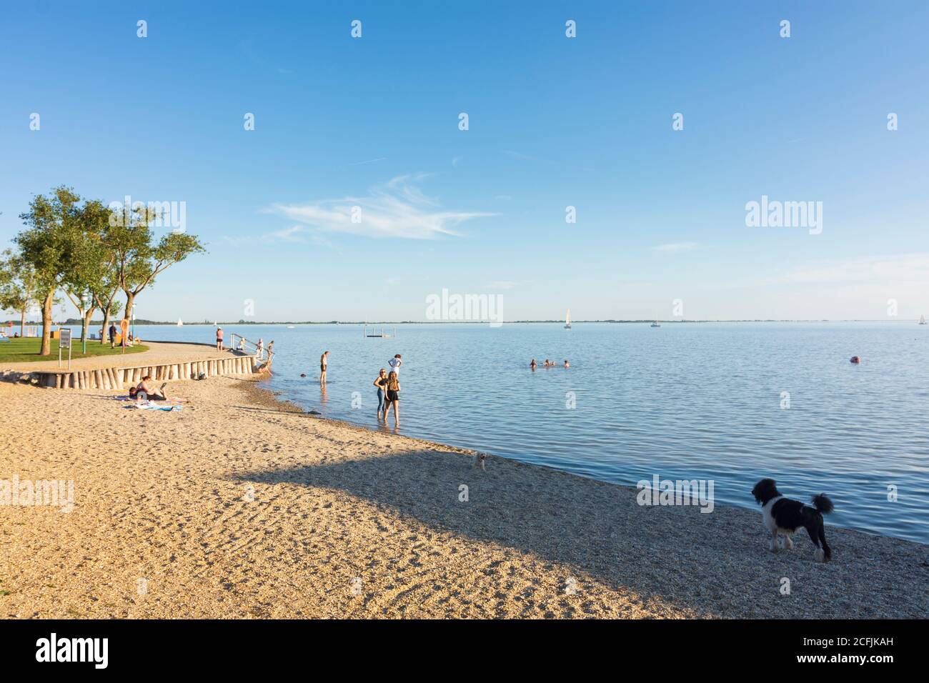 Neusiedl am See: Neusiedler See (Lago Neusiedl), spiaggia di Neusiedler See (Lago Neusiedl), Burgenland, Austria Foto Stock