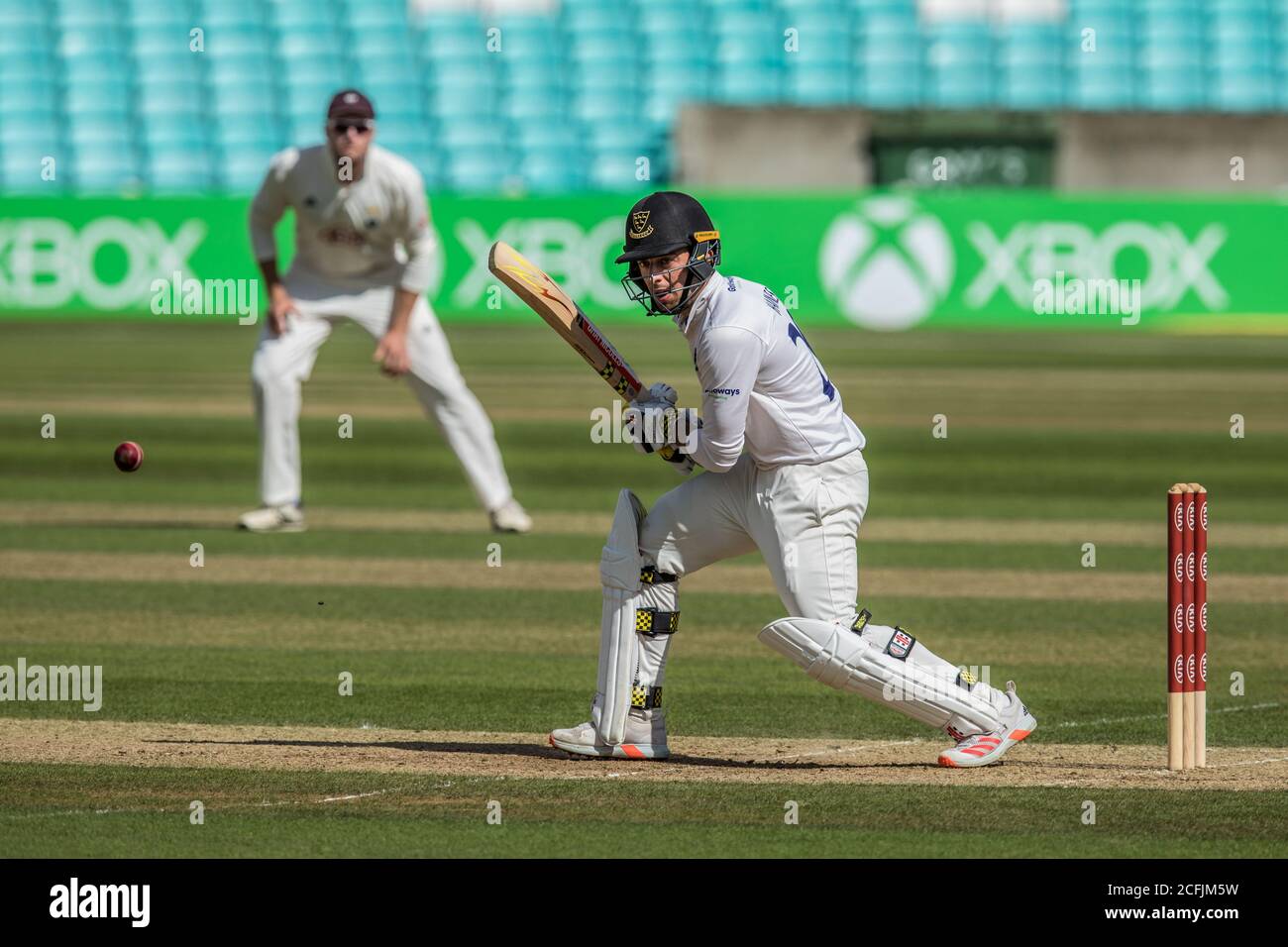 Londra, Regno Unito. 6 settembre 2020. Tom Haines batte mentre Surrey prende il Sussex il giorno uno della partita del Bob Willis Trophy all'Oval. David Rowe/Alamy Live News Foto Stock