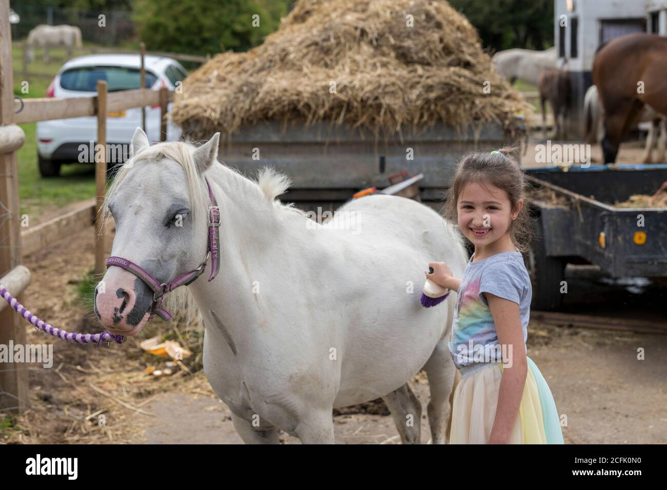 Sorridendo bella ragazza giovane in piedi che cura il cavallo con un spazzola in un paddock esterno Foto Stock