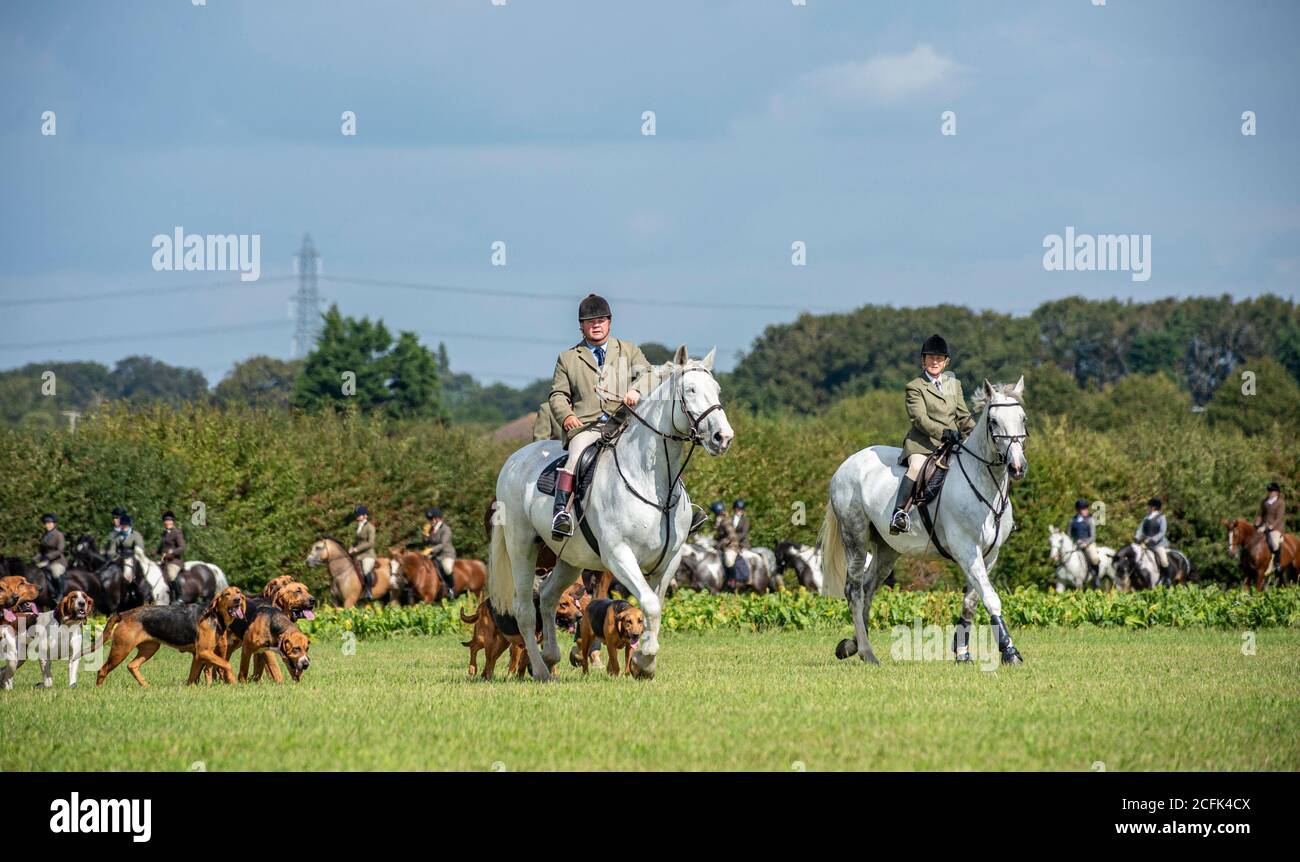 Temple Bruer, Lincolnshire, Regno Unito. 6 settembre 2020. L'autunno arriva quando i Cranwell Bloodhounds si incontrano per il loro primo esercizio hound montato della stagione. Il cacciatore, Frank Goddard, stava guidando il pacchetto di abbracci che attrasse i seguaci dei piedi e i cavalieri montati. Credit: Matt BLimit OBE/Alamy Live News Foto Stock