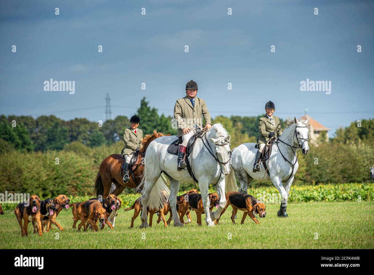 Temple Bruer, Lincolnshire, Regno Unito. 6 settembre 2020. L'autunno arriva quando i Cranwell Bloodhounds si incontrano per il loro primo esercizio hound montato della stagione. Il cacciatore, Frank Goddard, stava guidando il pacchetto di abbracci che attrasse i seguaci dei piedi e i cavalieri montati. Credit: Matt BLimit OBE/Alamy Live News Foto Stock