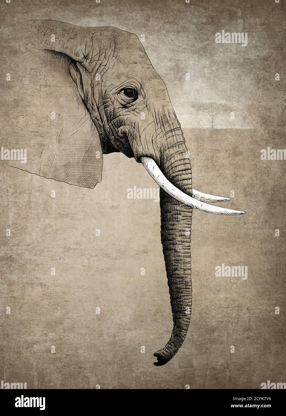 Illustrazione realistica della testa di un enorme elefante con zanne bianche su sfondo grigio Foto Stock