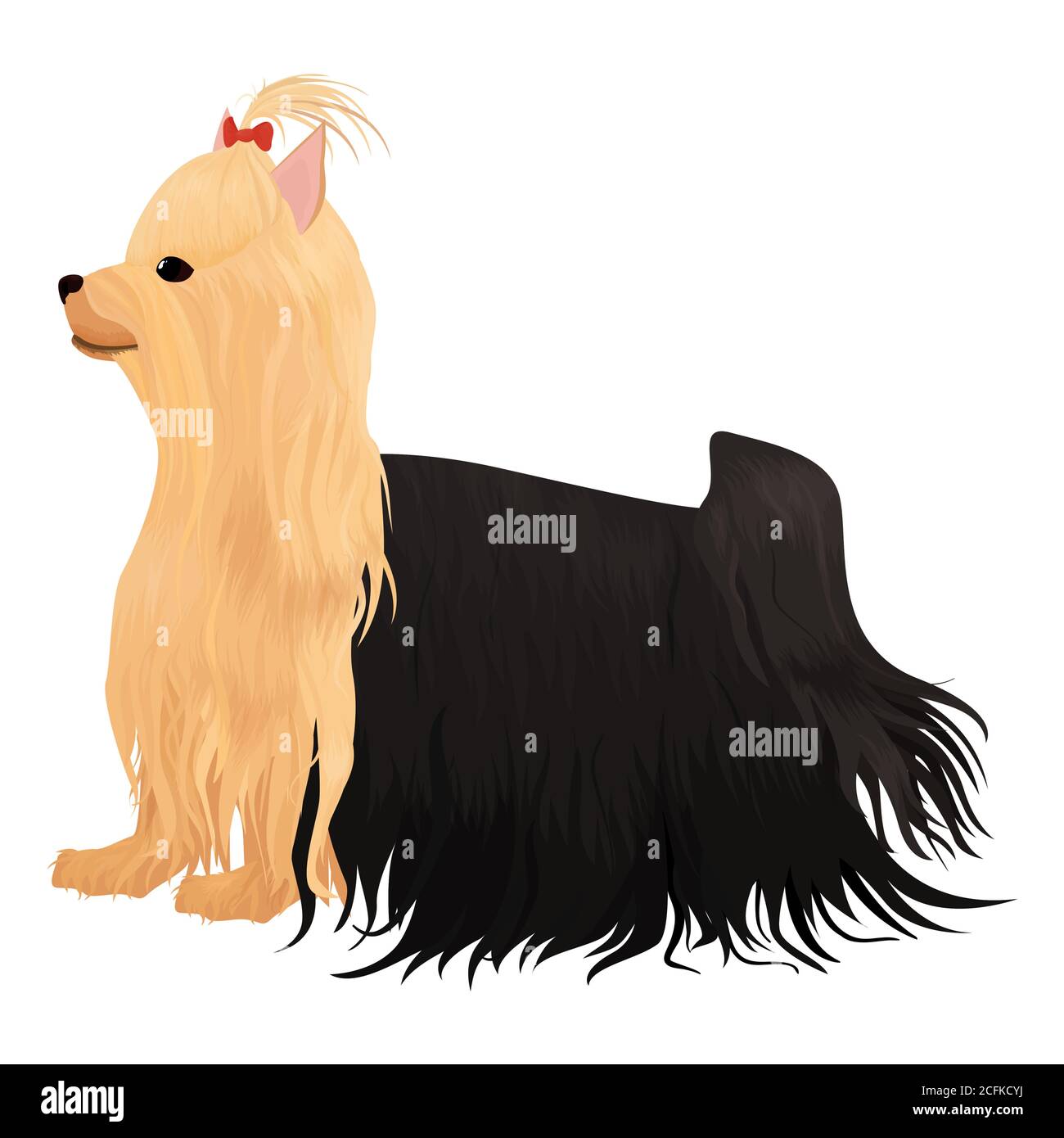 yorkshire cane terrier isolato su bianco. cartoon capelli lunghi cane yorkie con arco rosso illustrazione vettoriale Illustrazione Vettoriale