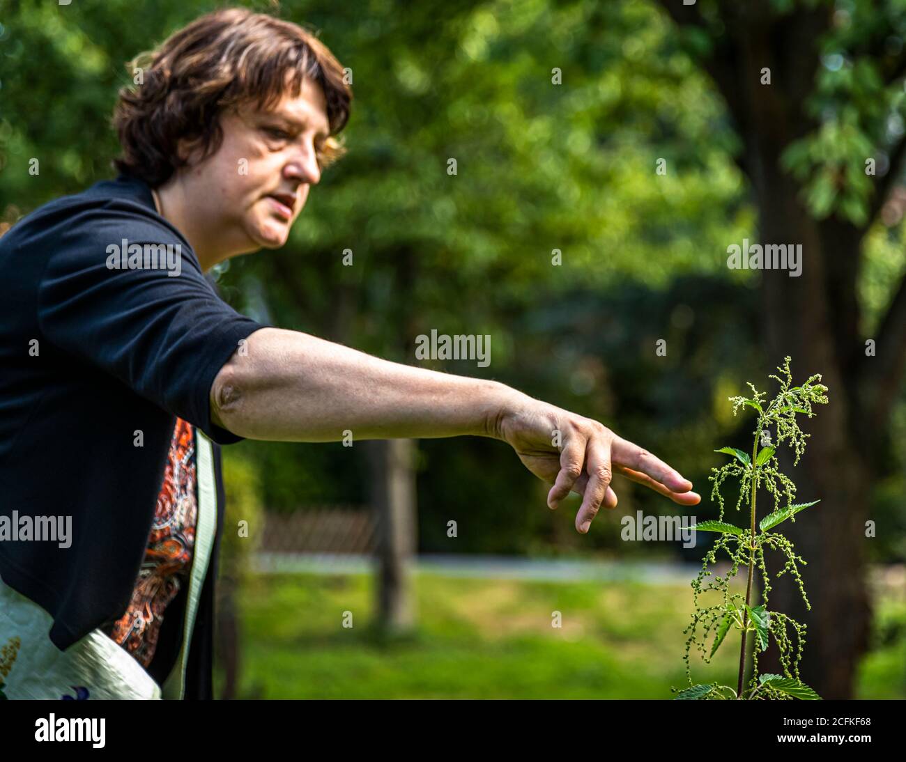 Workshop su foraggio e cucina con erbe selvatiche a Grevenbroich, Germania Foto Stock