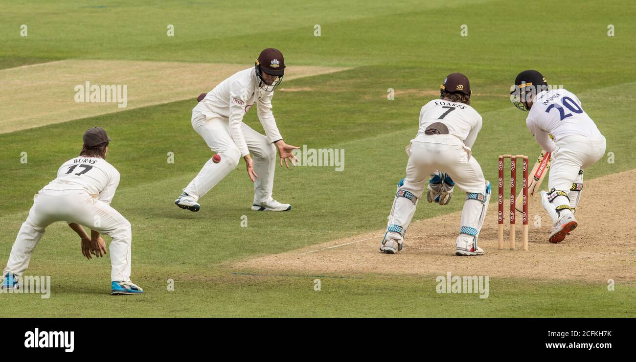 Londra, Regno Unito. 6 settembre 2020. Tom Haines trova il gap mentre Surrey prende il Sussex il giorno uno della partita del Bob Willis Trophy all'Oval. David Rowe/Alamy Live News Foto Stock