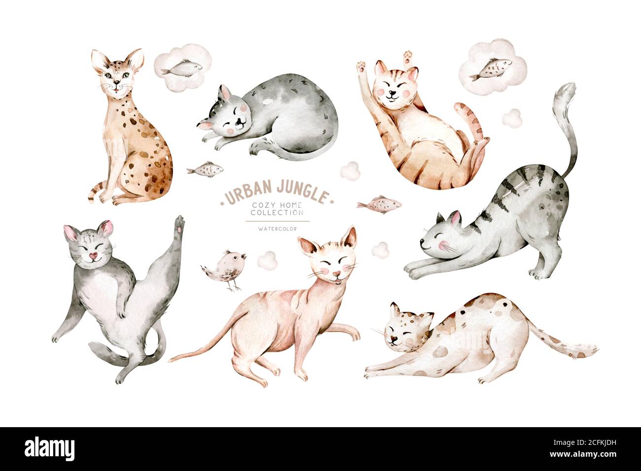 Cute watercolor cartoon gatti set illustrazioni isolato su bianco. Perfetto per stikers, carta da parati, poster decorazione. Foto Stock