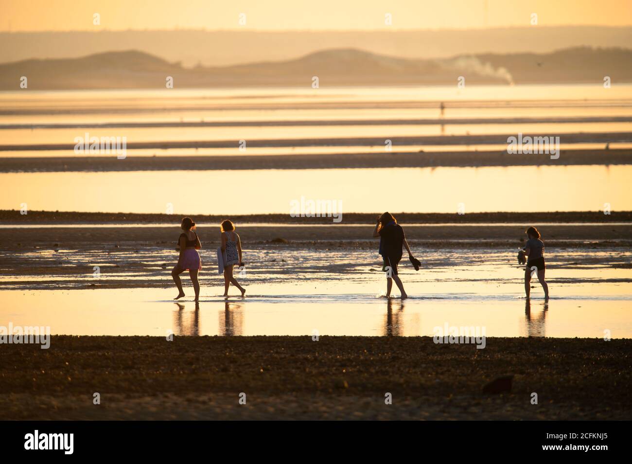 Un gruppo di bagnanti che esplorano una spiaggia di Cape Cod in bassa marea. Chapin Beach, Dennis, Mass. USA Foto Stock