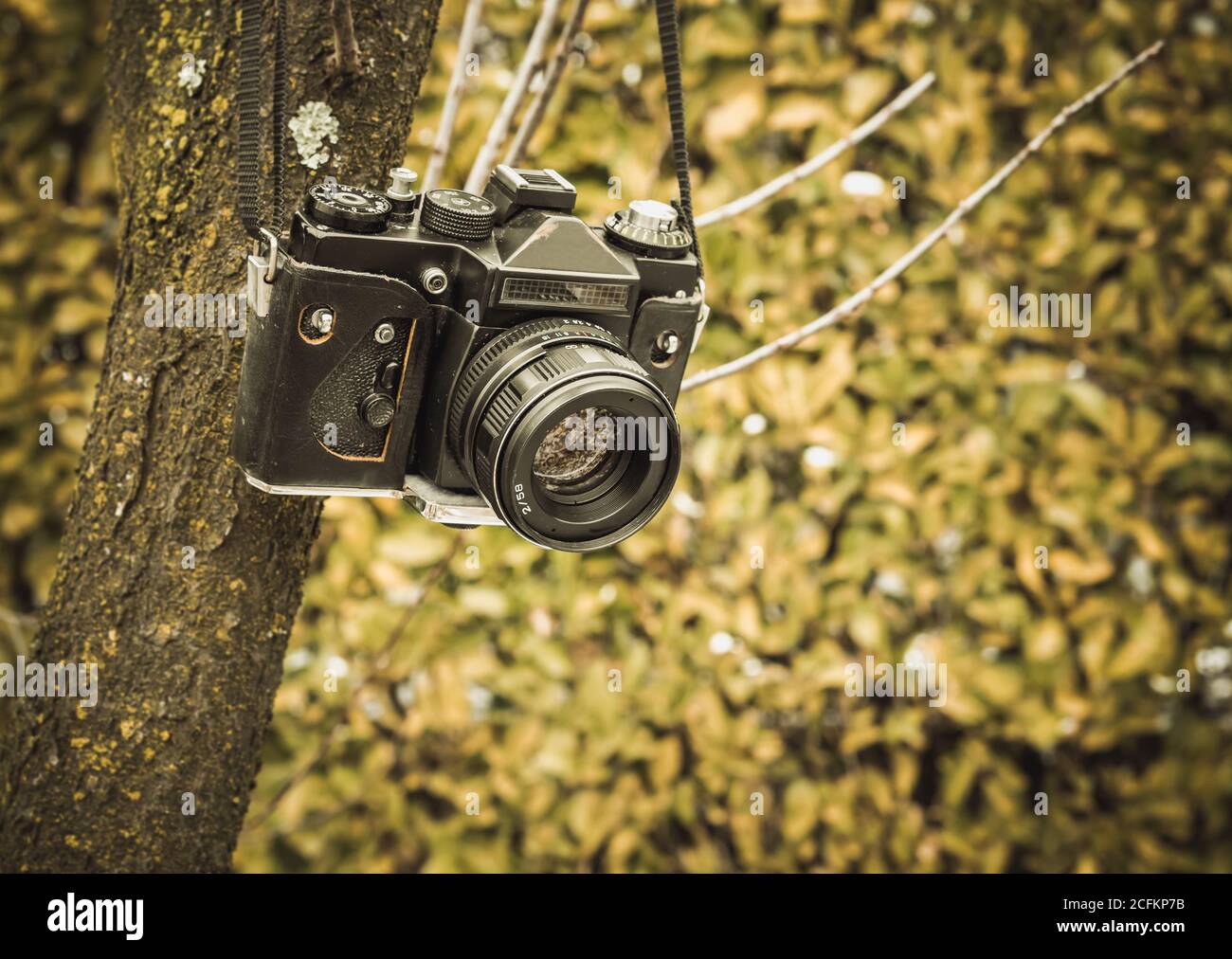 Vecchia videocamera analogica appesa su un albero. Tonalità di colore vintage. Foto Stock Vecchia videocamera analogica appesa su un albero. Tonalità di colore vintage. Foto Stock