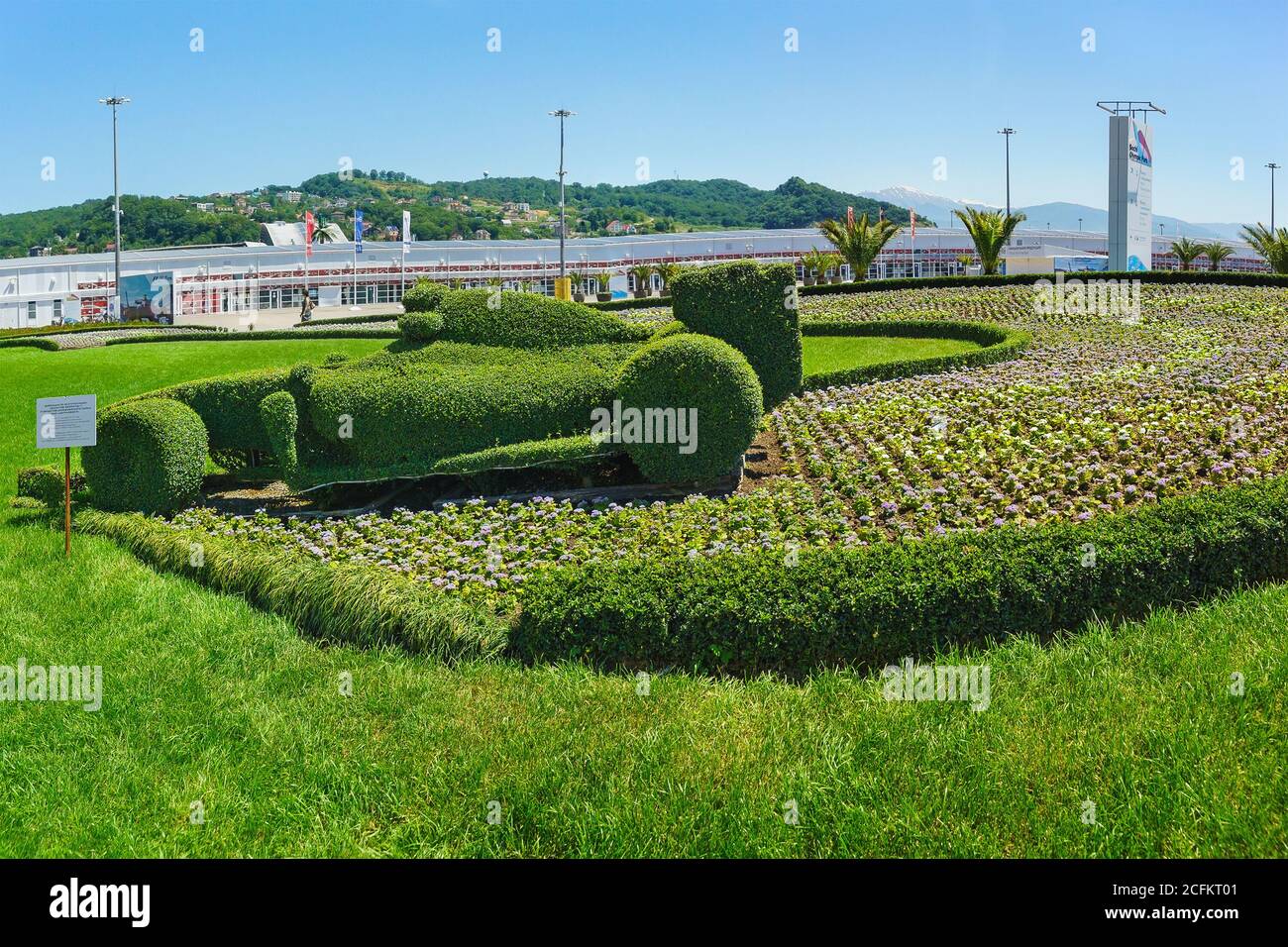 Russia, Sochi, regione di Krasnodar-Giugno 05.2017: Piano in legno di bosso sotto forma di auto da corsa su un letto di fiori nel Parco Olimpico della città meridionale Foto Stock