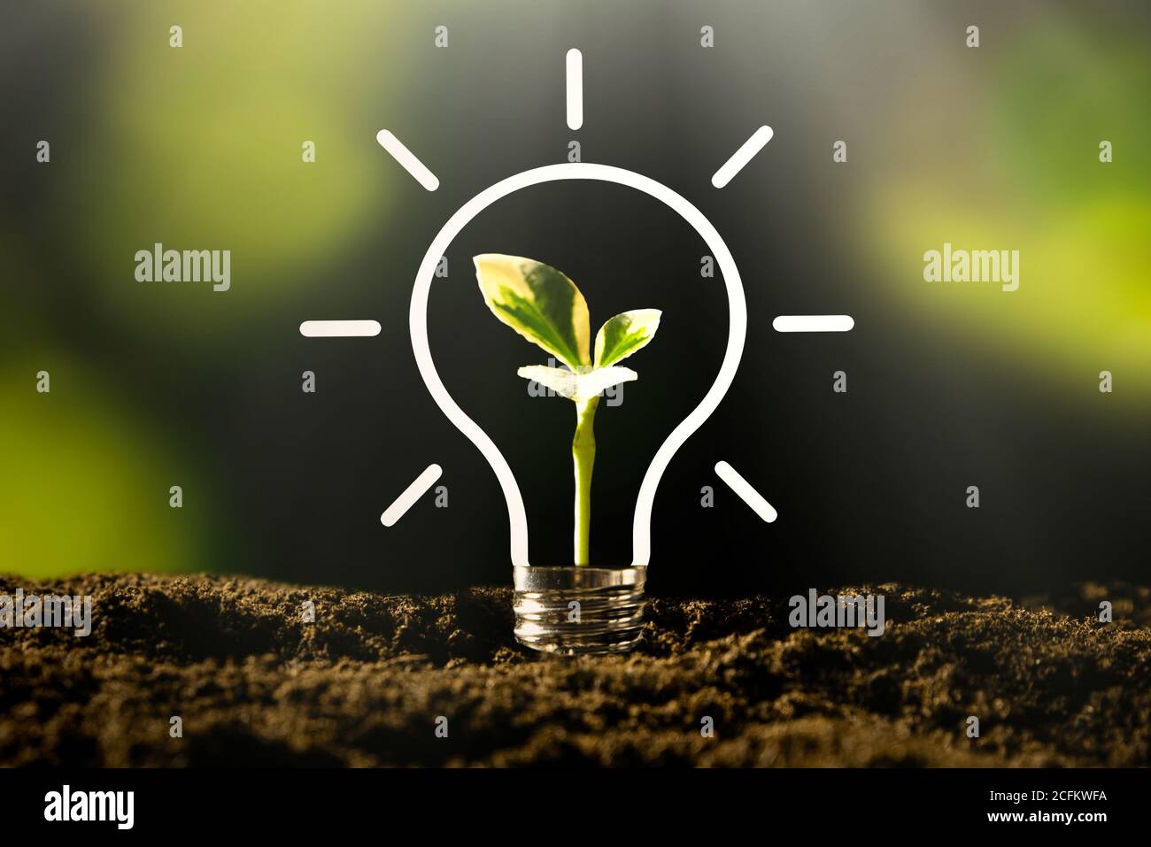 Lampadina con pianta crescente. Ambiente ecologico e sostenibile Foto Stock
