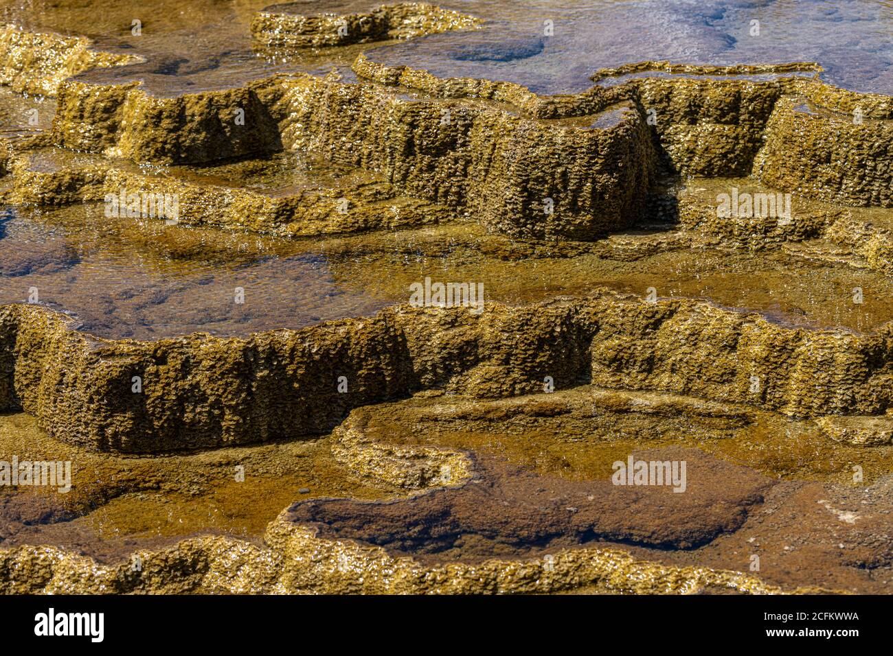 Mound Spring nell'area delle sorgenti termali di Mammoth, Parco Nazionale di Yellowstone Foto Stock