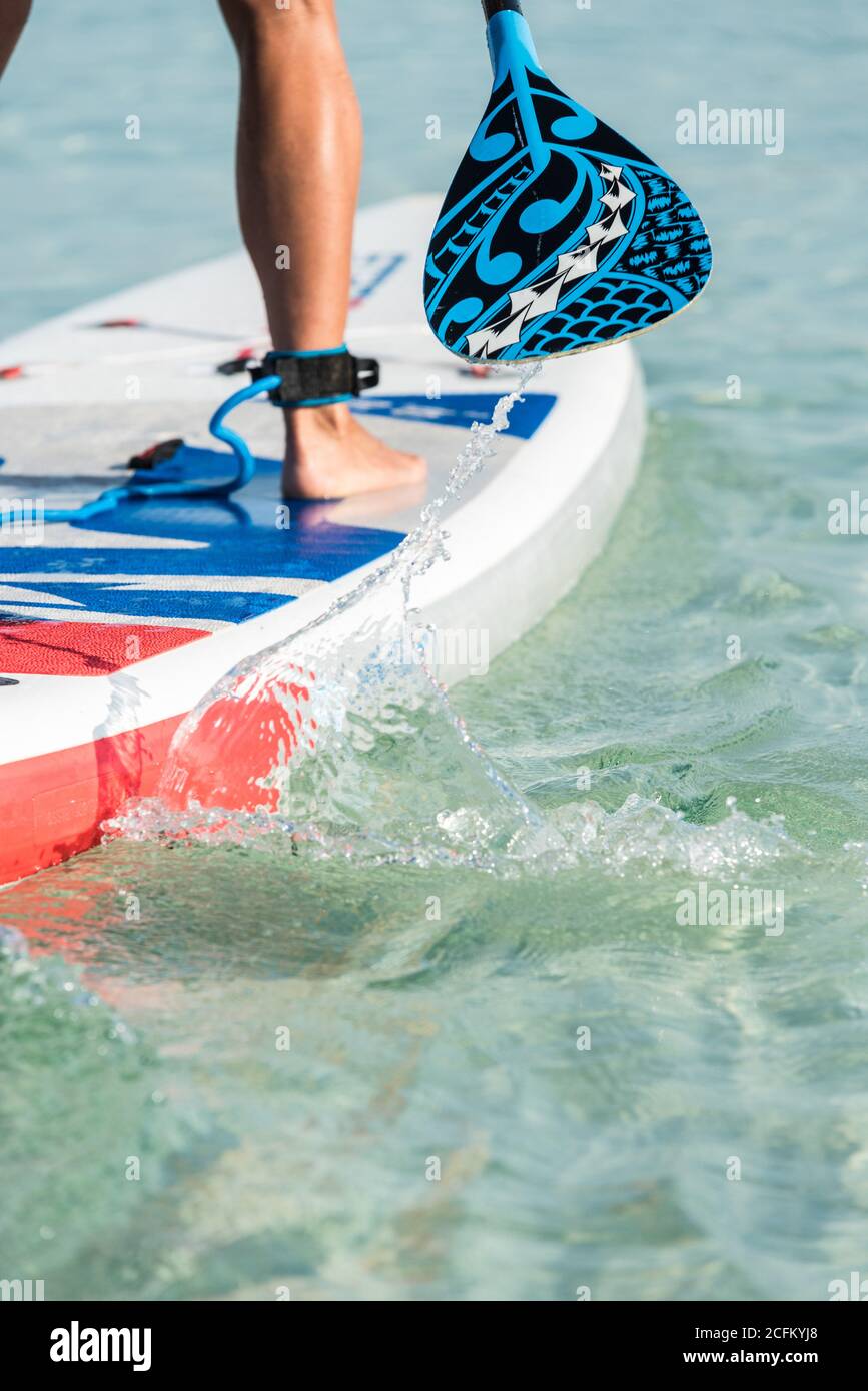 Crop anonimo surfer femminile in piedi su tavola da surf e canottaggio con pagaia mentre si pratica sulla superficie del mare in estate Foto Stock