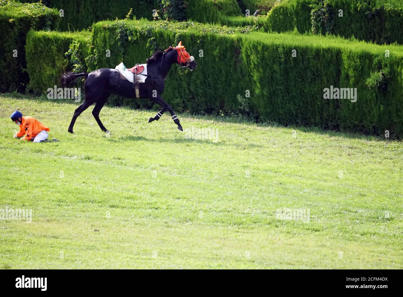 Un fantino caduto da un cavallo alla corsa mentre altri corrono più avanti alla corsa a Merano, Italia il 6 settembre 2020. Foto Stock