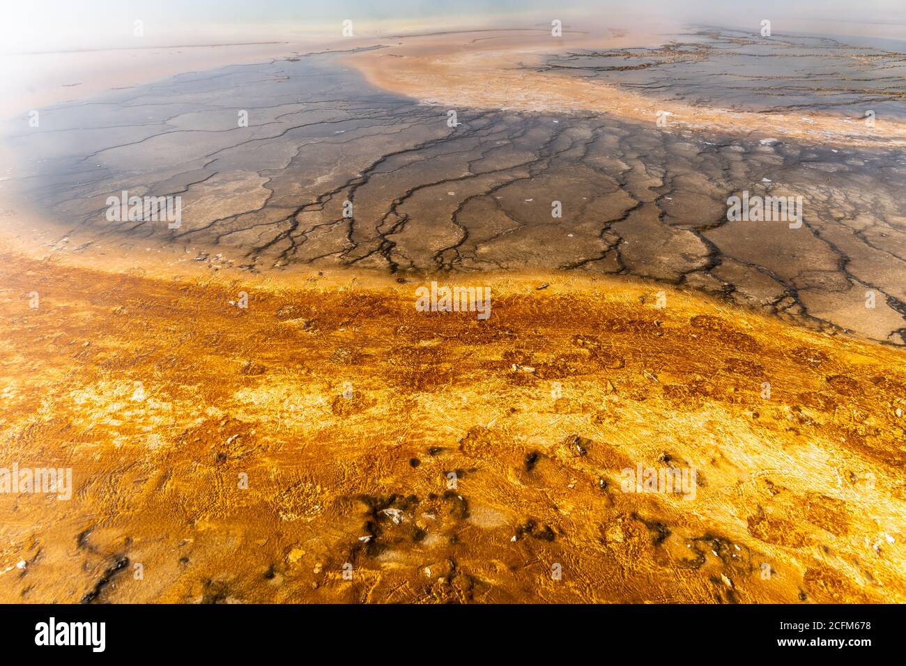 Formazioni di fango e batteri presso la Grand Prismatic Spring, Yellowstone National Park Foto Stock